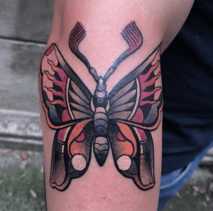 papillon traditionnel