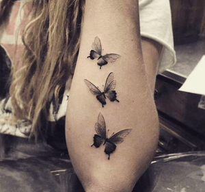 tatouage trois papillon
