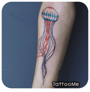 Meduse