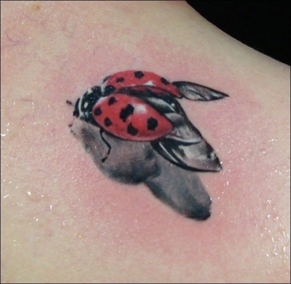 Tatouage coccinelle TattooMe Le Meilleur du Tatouage