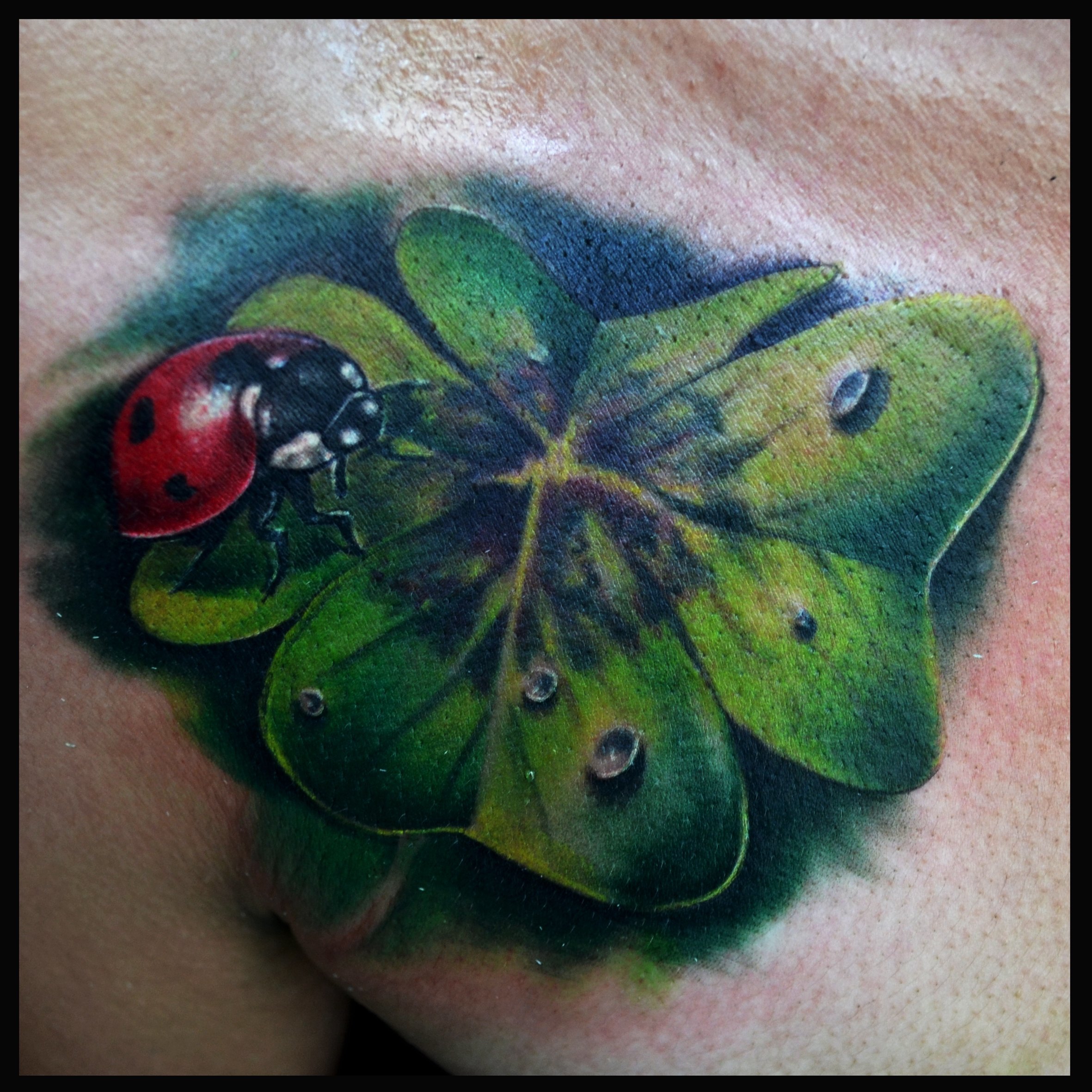 Tatouage coccinelle TattooMe Le Meilleur du Tatouage