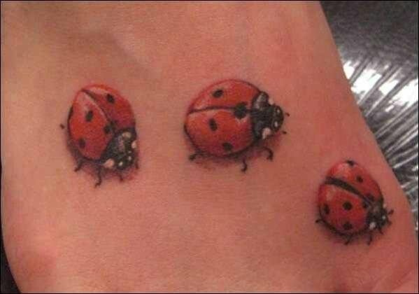 Tatouage coccinelle TattooMe Le Meilleur du Tatouage