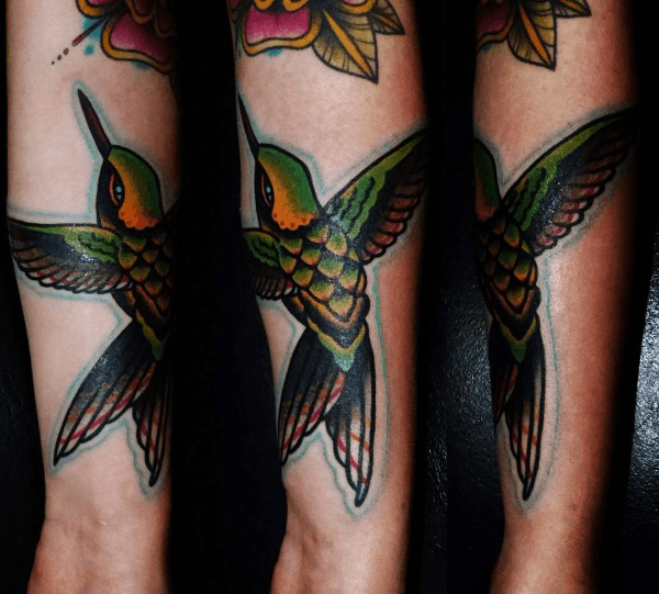 colibri tour bras
