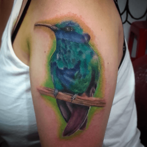 tatouage colibri assis