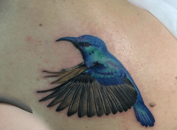 tatouage colibri bleu vol
