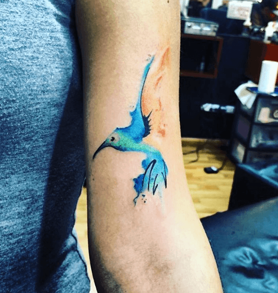 tatouage colibri splach