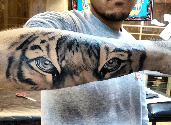 Tatouage bras tigre regard