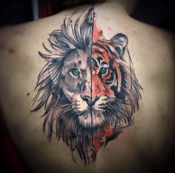 Tatouage dos tigre lion
