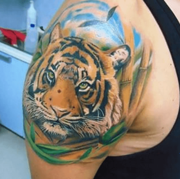 Tatouage épaule tigre