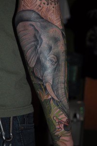 tatouage éléphant avant bras