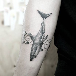 tatouage avion requin