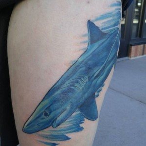 tatouage bleu requin