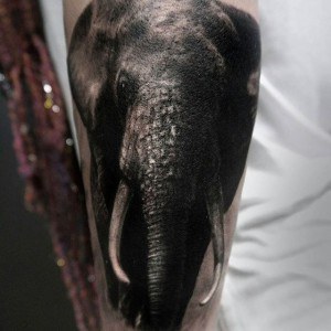 tatouage elephant 3D