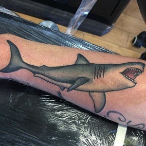 tatouage long requin