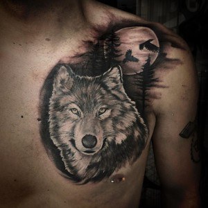 tatouage loup cicatrice