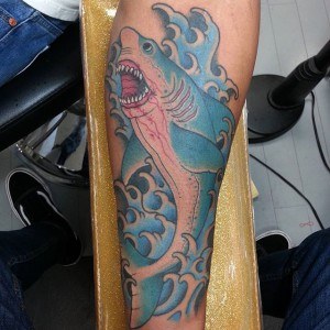 tatouage mer requin