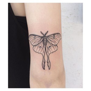 tatouage papillon simple