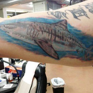 tatouage simple requin
