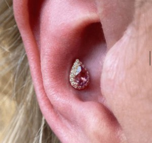 Pircing diamand rose